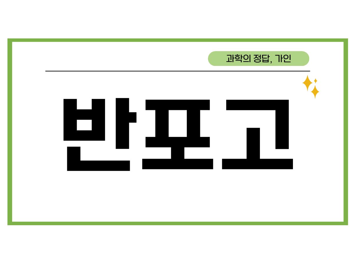 반포고 2학기 시간표